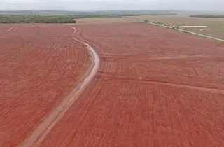 FCO libera R$ 3,2 bilhões e amplia financiamento rural em MS