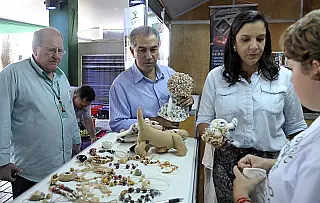 Mandato de Enelvo é estratégico para planos de Azambuja