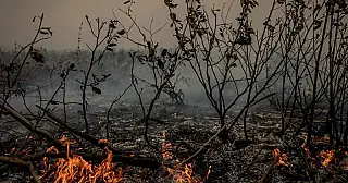 Chuvas extinguem focos de incêndio no Pantanal, interrompendo a devastação