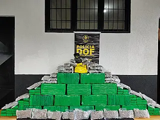 DOF apreende quase 350 quilos de drogas e recupera veículo roubado em MG