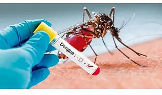 Estado registra quase 3 mil casos confirmados de dengue e 7 mortes