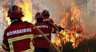 02 de julho Dia do Bombeiro Brasileiro