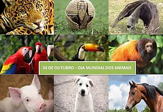 Dia dos Animais