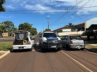Polícia Militar intensifica combate ao tráfico e apreende mais de 330 kg de drogas em Nova Andradina