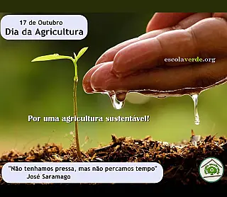 Dia da Agricultura celebra a importância de quem faz a terra florescer