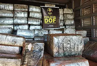 Maconha apreendida na região de Dourados é avaliada em mais de R$ 15 milhões