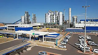 Suzano oferece vagas de emprego em quatro cidades de Mato Grosso do Sul