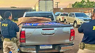 Polícia apreende 1,4 tonelada de maconha em Hilux roubada na BR-060 em Campo Grande