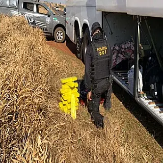 Drogas, arma, munições e contrabando são apreendidos em ações do DOF