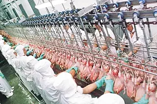 Indústria em MS gera mais empregos em pleno período de pandemia