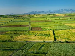 MPMS fiscaliza execução de TAC voltado à recuperação ambiental em área rural