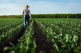 Dia do Agricultor