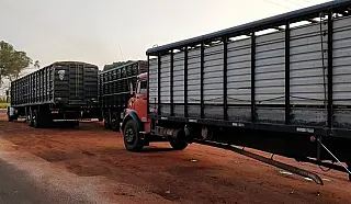 Está suspensa a obrigatoriedade do uso do aplicativo de transporte de animais