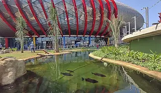 Governo do Estado assume gestão temporária do Aquário do Pantanal
