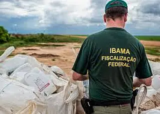 Concurso do Ibama oferece 460 vagas com salários de R$ 9,9 mil