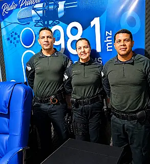Programa Mulher Segura: prevenção e combate à violência contra a mulher
