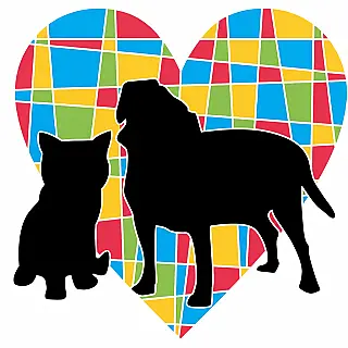 Cassilândia firma parceria de R$ 72 mil para atendimento e castração de animais.