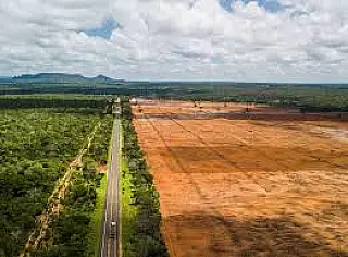 Transformação no uso do solo em Paranaíba é impulsionada pelo agronegócio