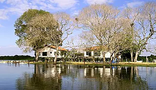 Proprietário rural e arrendatário têm responsabilidade ambiental