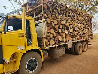 Polícia Ambiental apreende caminhão com 30 m³ de madeira ilegal e autua infrator