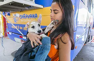 Projeto chega à Capital como o maior programa de controle de animais