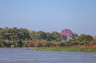 Com elevação gradativa nas temperaturas, quinta-feira tem previsão de sol e poucas nuvens