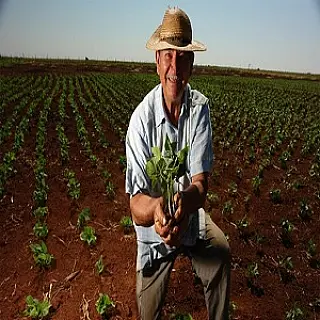 28 de julho Dia do Agricultor