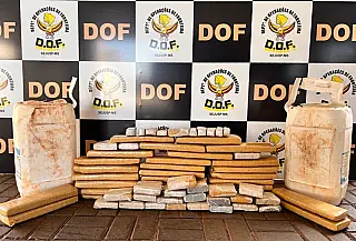 Polícia localiza mais de 40 kg de maconha em tambores de defensivos agrícolas