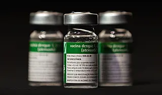Vacina contra dengue do Instituto Butantan aguarda aprovação final da Anvisa.