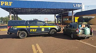 PRF apreendeu 575 Kg de maconha e skunk em Sidrolândia