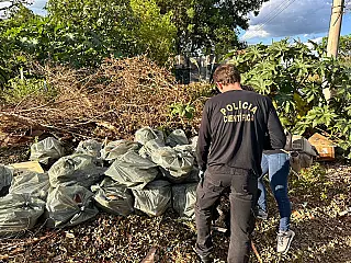 Polícia prende dupla por descarte ilegal de amianto em terreno público