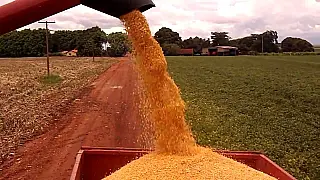 Coronavírus não afetará no abastecimento de alimentos