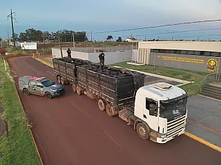 Carreta com pneus avaliados em R$ 1 milhão é interceptada pelo DOF