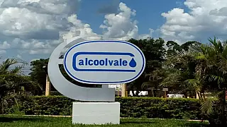 Usina de açúcar e álcool oferece diversas vagas de emprego em Aparecida do Taboado