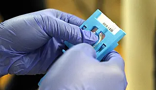 Coleta de DNA de familiares para localização de desaparecidos segue até sexta-feira