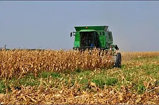 Valor da produção agropecuária do Estado registra crescimento de 28%
