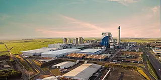 Ceca aprova Licença Prévia para fábrica de celulose da Bracell em Bataguassu