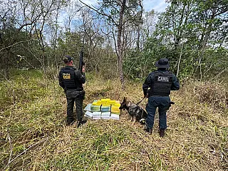 Mais de 160 quilos de drogas são apreendidos pelo DOF em Brasilândia