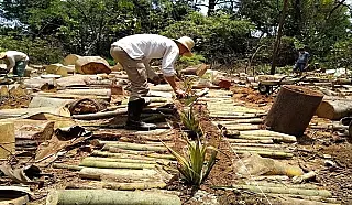Comunidade vai implantar projeto completo de sustentabilidade em chácara