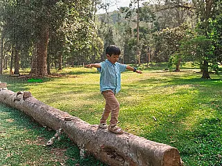 Nova lei federal garante direito de crianças à natureza e fortalece fiscalização nos municípios