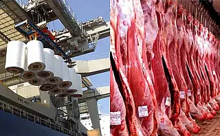 Com celulose e frigoríficos, exportações da indústria de MS batem recorde em 2020