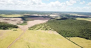 Pela segunda vez, fazendeiro de Maracaju é multado em R$ 40 mil por desmatamento