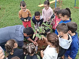 Alunos do CEI participam de plantio e reforçam consciência ambiental em Inocência