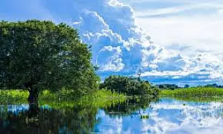 Evander pede ao ICMBio que instale nova sede do Parque Nacional do Pantanal em Corumbá