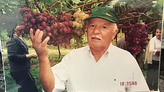 Faleceu aos 90 anos o senhor Paulino Straliotto.