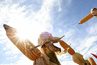 Agro impulsiona crescimento de 5,5% no PIB de MS em 2025, segundo Banco do Brasil