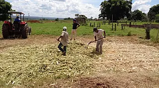 Agricultores familiares receberão evento sobre o crédito rural
