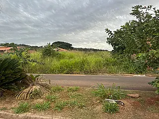 Moradores cobram limpeza e fiscalização de terrenos em Cassilândia