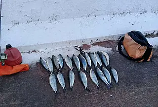 PMA prende dois por pesca irregular e apreende redes e 10 kg de peixes