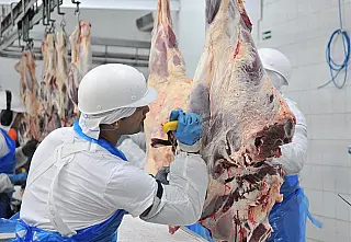 Indústria de carnes de MS multiplica exportações e quase dobra empregos em 20 anos